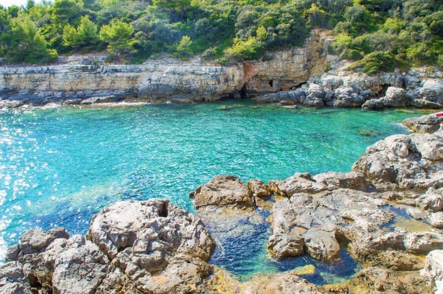From Fažana: snorkeling at sea cave and Brijuni Island - Who should book this Fažana boat trip?