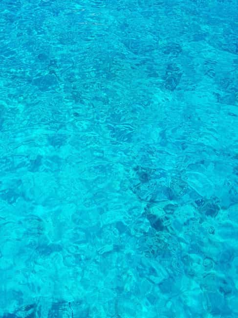 From Hvar: Blue cave group speedboat tour full day - Palmizana Bay, the day’s long pause