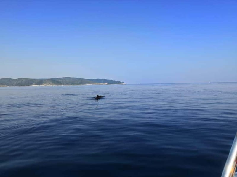 From Hvar: Unforgetable Tour to the Island Vis and Blue Cave - What the $123 price really includes