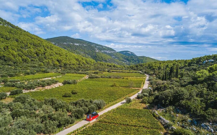 From Korcula Town: Local Wine & Sightseeing Half-Day Tour - The first winery: a local introduction to Korcula wine