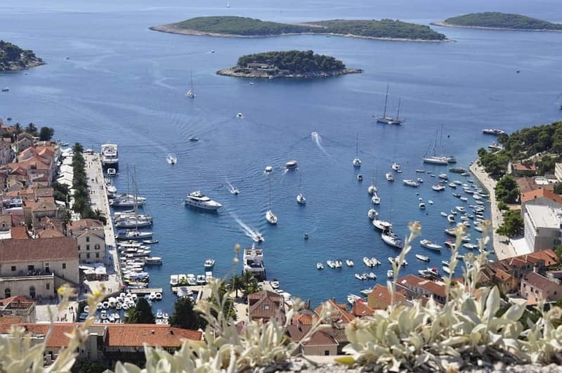 From Milna or Supetar: Magical Blue Cave Island Hopping - What the nine-hour day is really like