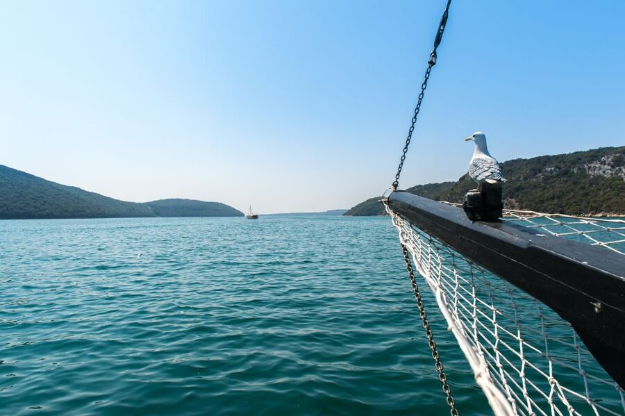From Poreč: Boat Day Trip to Rovinj with Fish Lunch - Free time in Rovinj’s cobbled Old Town