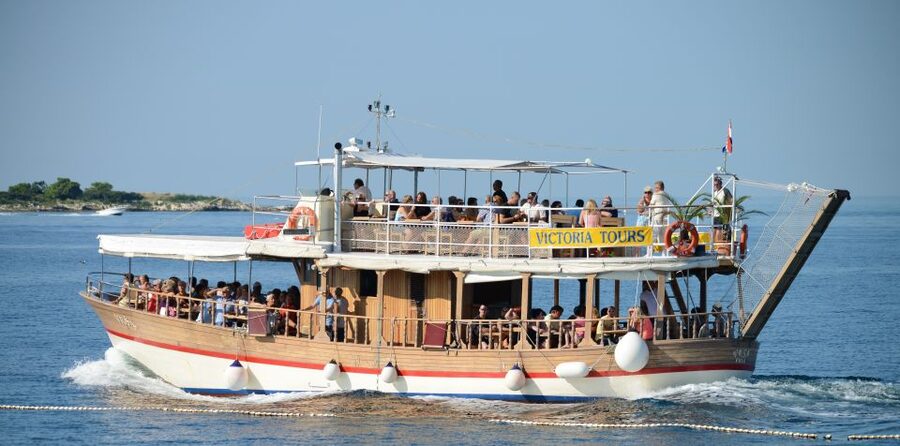 From Poreč: Evening Dolphin Cruise with Welcome Drink - Finding dolphins in their natural habitat