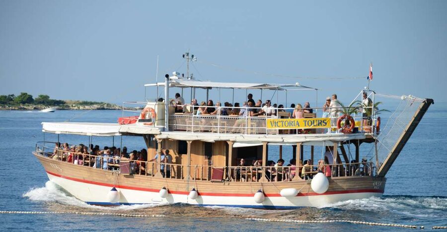 From Poreč: Evening Dolphin Cruise with Welcome Drink - Weather, cancellations, and comfort