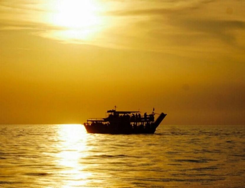 From Poreč: Evening Dolphin Cruise with Welcome Drink - Watching the coast from the sea