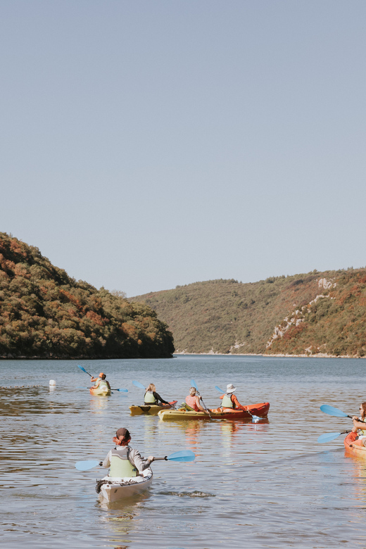 From Poreč: Lim Bay Sea Kayaking Day Trip - Why Lim Bay feels different from the open Adriatic