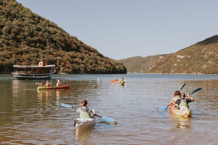 From Poreč: Lim Bay Sea Kayaking Day Trip - Paddling through the protected bay