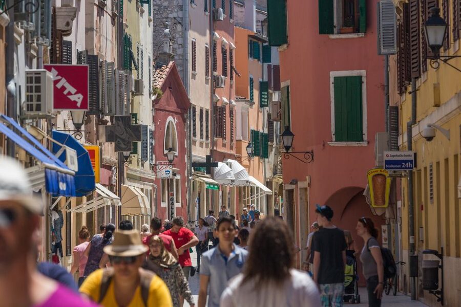From Pula: Day Cruise to Rovinj, Lim Fjord, and Red Island - Food, music, and the onboard mood