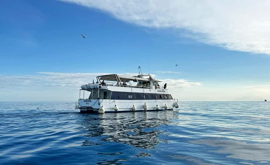 From Pula: Rovinj & NP Brijuni cruise with Red Island visit - Rovinj in 45 minutes