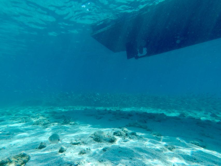 From Split: Blue Lagoon & Trogir Boat Trip with Snorkeling - Who Will Like This Boat Trip Most?