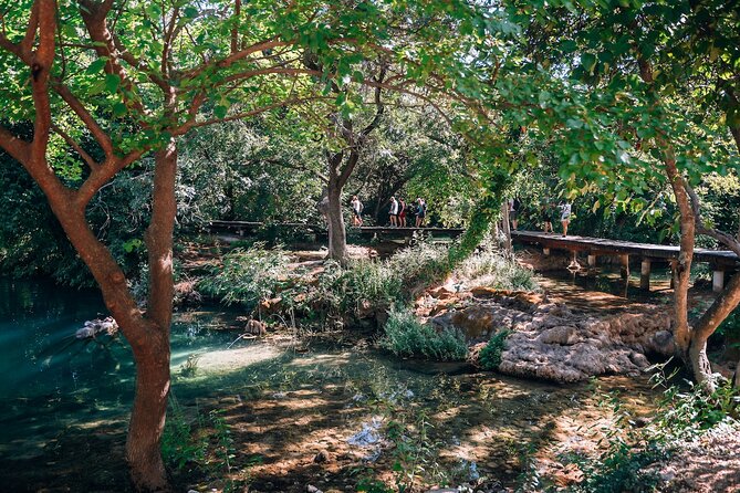 From Split: Krka Waterfalls, Food & Wine Tasting Tour - Who should book this day trip
