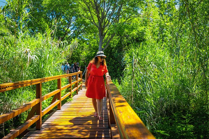 From Split: Krka Waterfalls Tour - Who should book this Krka tour