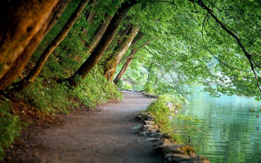 From Split or Trogir: Plitvice Lakes Guided Full-Day Tour - The long road from Split or Trogir