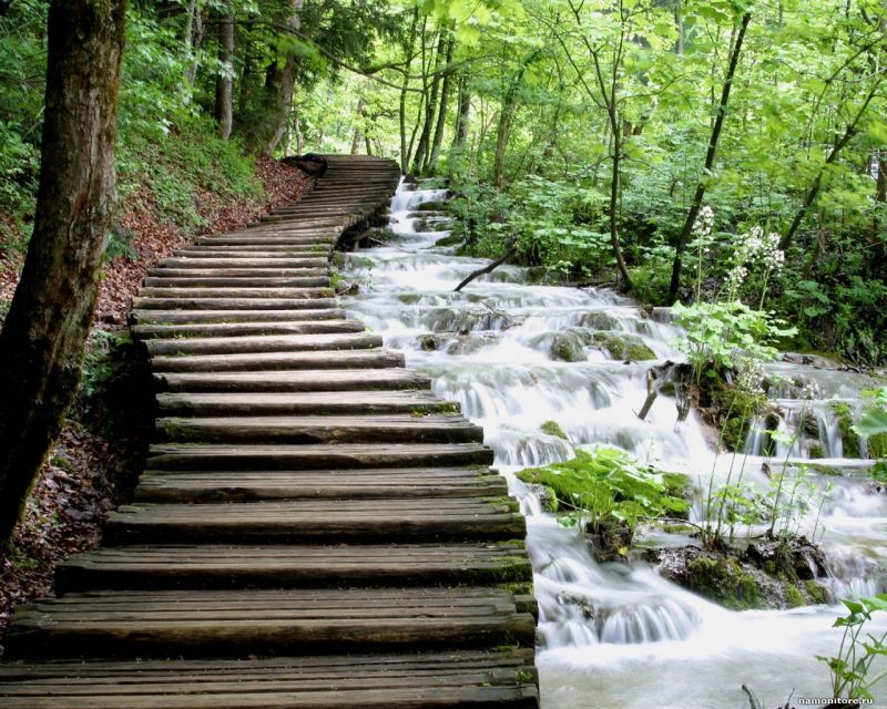 From Split or Trogir: Plitvice Lakes Private Tour - Practical ways to make the day better