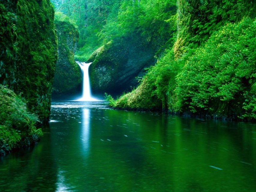 From Split or Trogir: Plitvice Lakes Private Tour - Who will enjoy this tour most