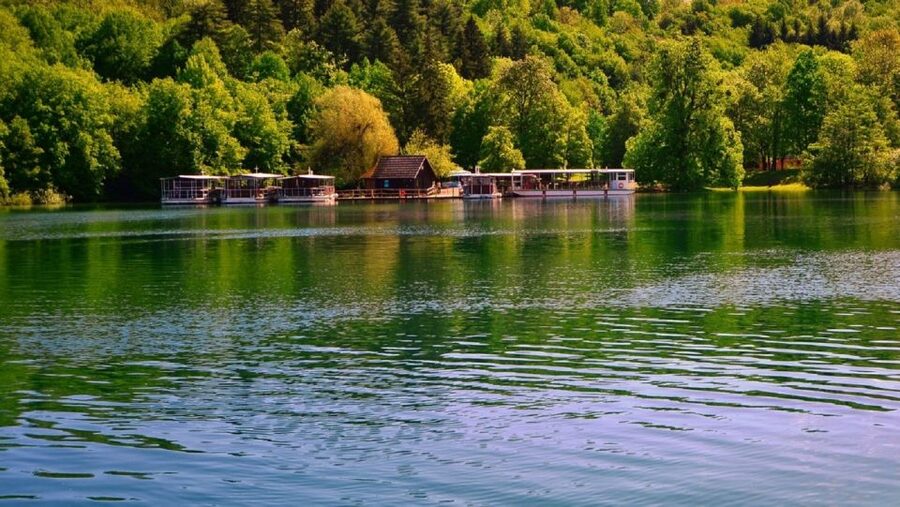 From Split or Trogir: Plitvice Lakes Trip with Entry Ticket - The train ride toward Prošćansko Lake