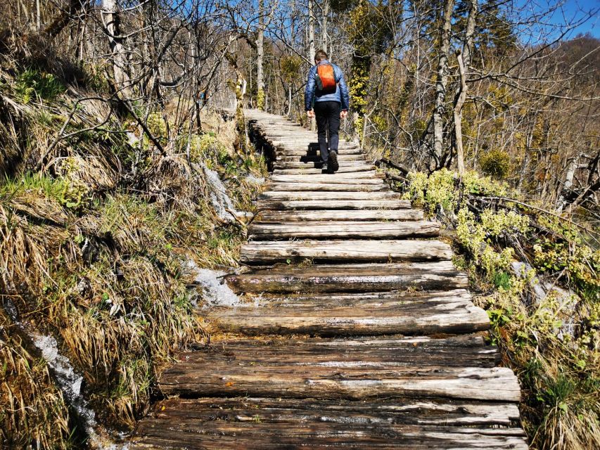 From Split: Plitvice Lakes Full-Day Trip - Walking the Lower Lakes and Great Waterfall