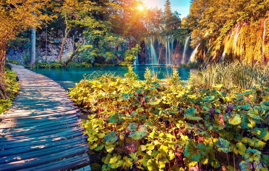 From Split: Plitvice Lakes Full-Day Trip - What the $57 Price Really Covers