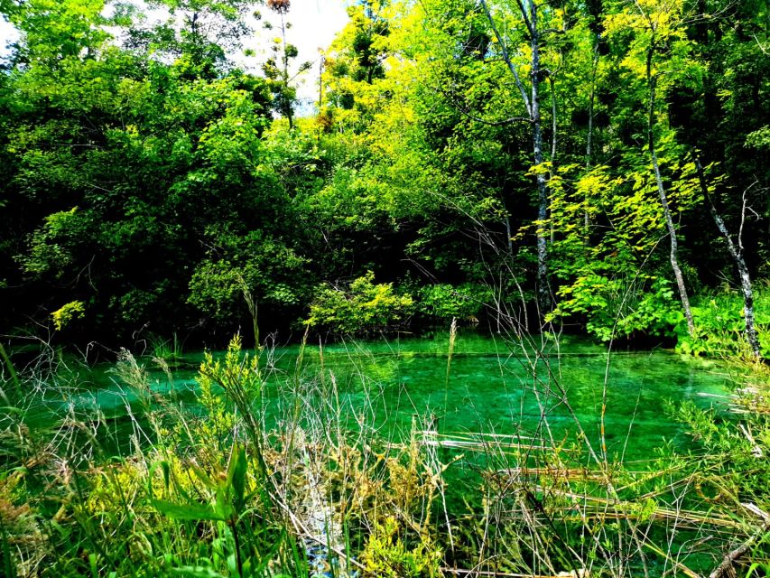 From Split: Plitvice Lakes Full-Day Trip - Guides, Group Size, and the Self-Guided Question