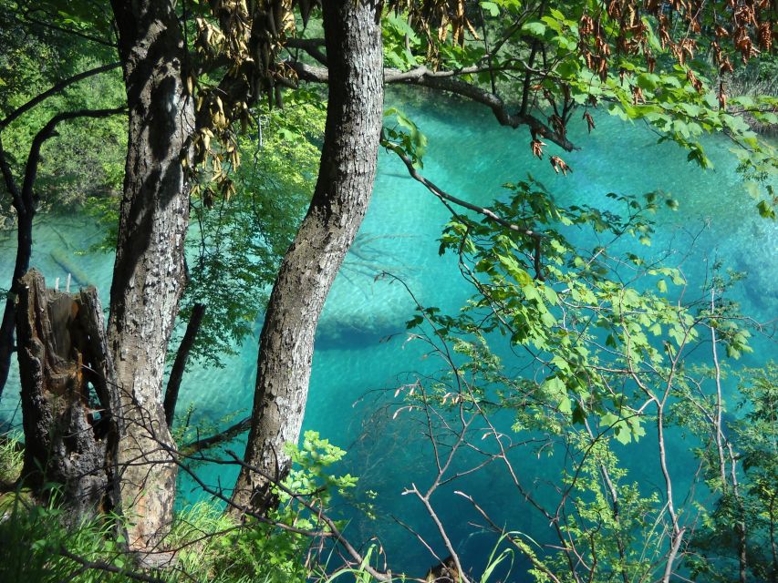 From Split: Plitvice Lakes Full-Day Trip - Who Should Book This Plitvice Lakes Trip?