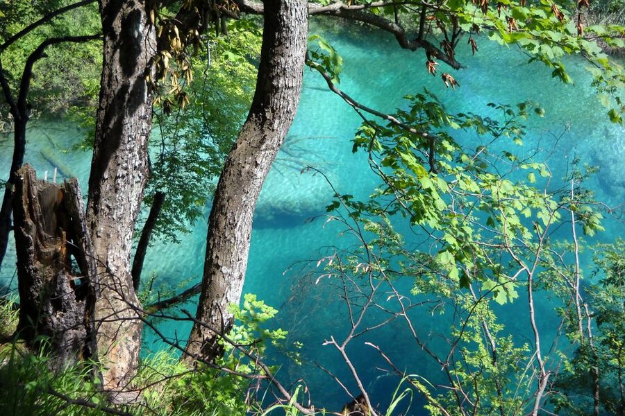 From Split: Plitvice Lakes Fully-Guided Day Tour - Why Plitvice is worth the long ride from Split