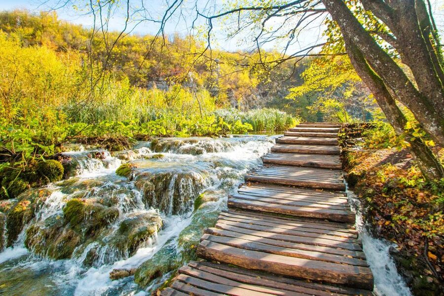 From Split: Plitvice Lakes Guided Tour with Entry Tickets - Seeing the park by electric train