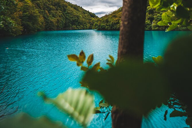 From Split: Plitvice Lakes - Private tour - Price, Private Service, and Real Value