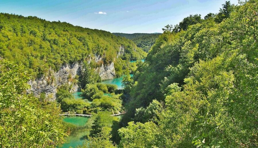 From Split: Private Tour to Plitvice Lakes National Park - Wooden walkways make the park feel close