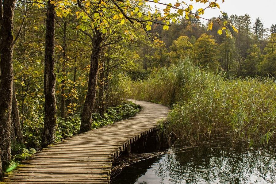 From Split: Private Tour to Plitvice Lakes National Park - Lunch and the long return to Split