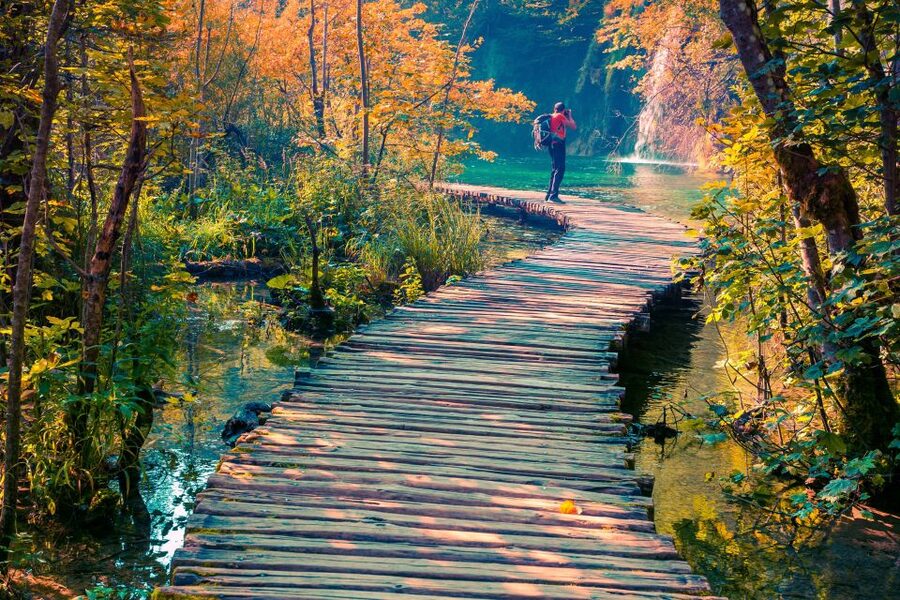 From Split/Trogir/Omiš: Plitvice Lakes Guided Group Tour - A group tour means structure, not total freedom