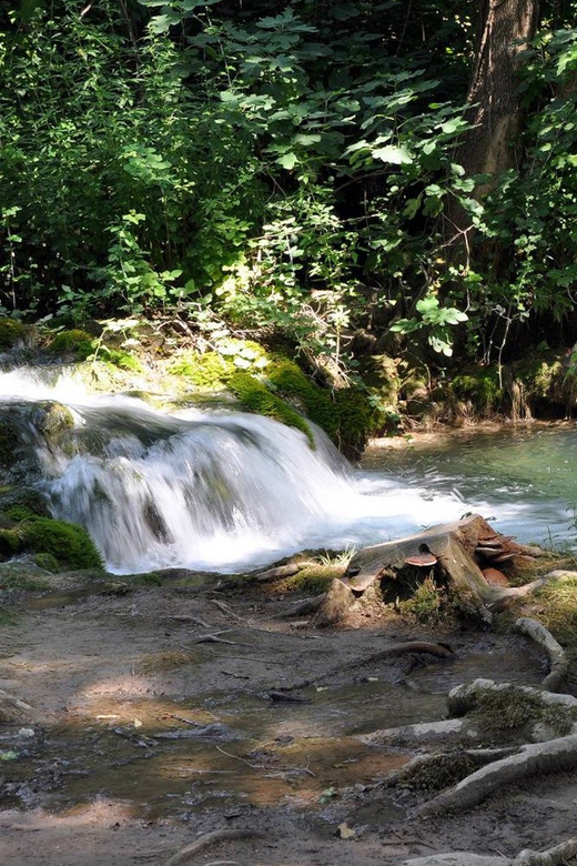 From Trogir, Seget & Okrug: Krka Waterfalls Gastro Tour - Key points to know before booking