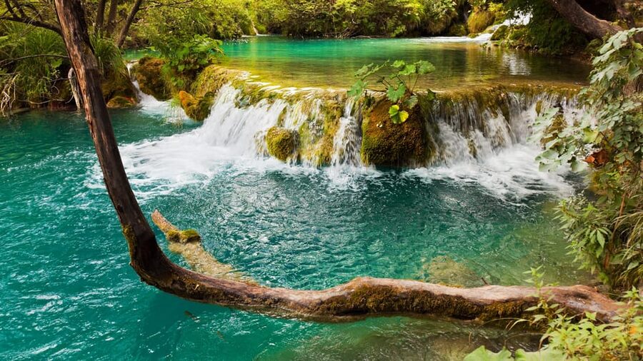 From Trogir, Seget & Okrug: Krka Waterfalls Gastro Tour - Skradin, local tasting, and a slower lunch break