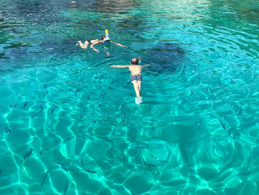 From Trogir: Three Islands Half-Day Speedboat Tour - Who should book this Trogir boat trip?