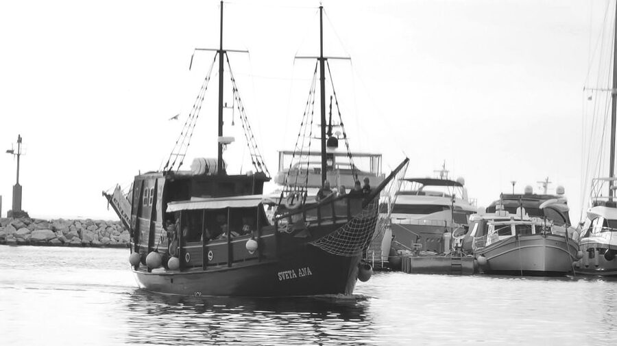 From Vrsar: Boat Trip to Rovinj and Lim Fjord - What to know before you reserve