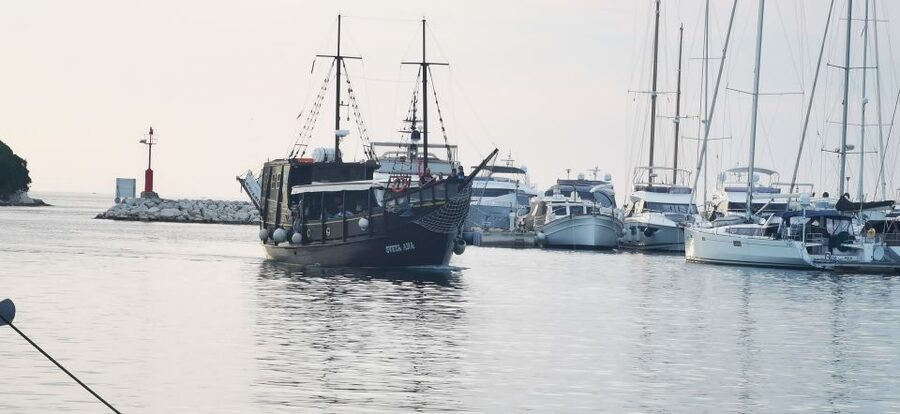 From Vrsar: Boat Trip to Rovinj and Lim Fjord - Who should book this excursion?