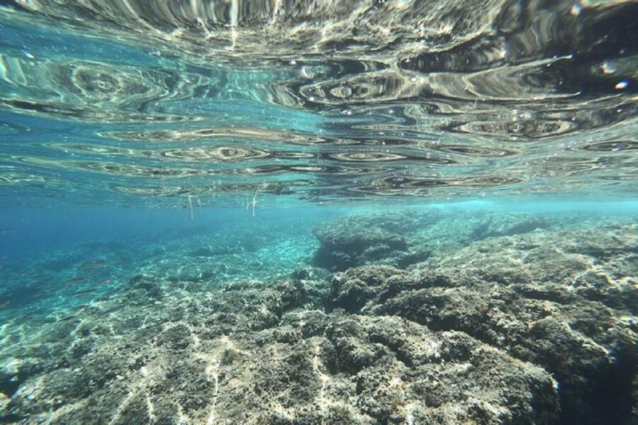 From Zadar: Half/Full Day Sailing Tour - Ugljan’s bays are the heart of the day