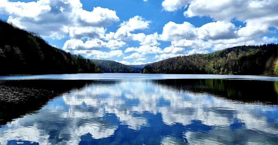 From Zadar: Plitvice Lakes Day Tour - Key points to know before booking