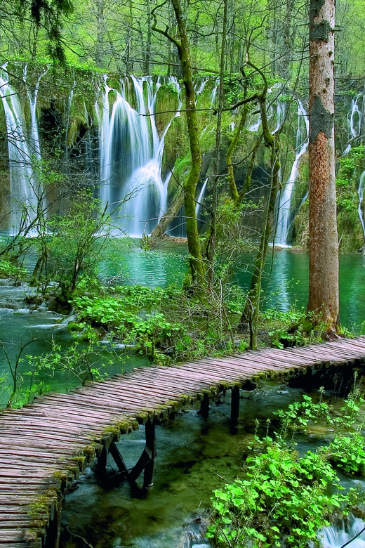 From Zadar: Plitvice Lakes Day Tour - Arriving at Plitvice Lakes National Park