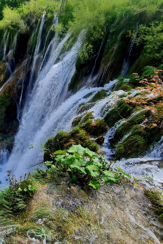 From Zadar: Plitvice Lakes Day Trip with Guide and Boat Tour - Key points to know before booking