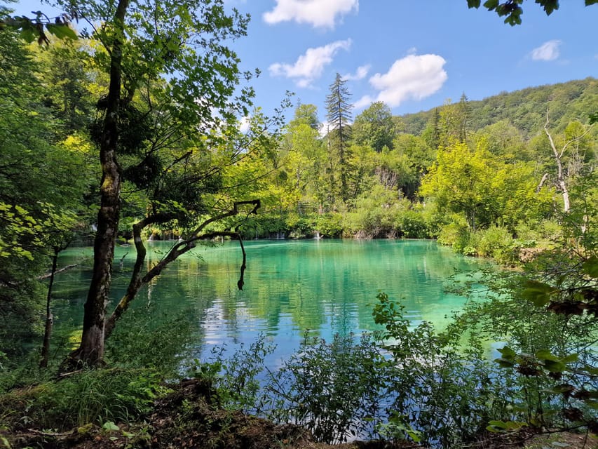 From Zadar: Plitvice Lakes Day Trip with Guide and Boat Tour - Entering Plitvice with reserved access