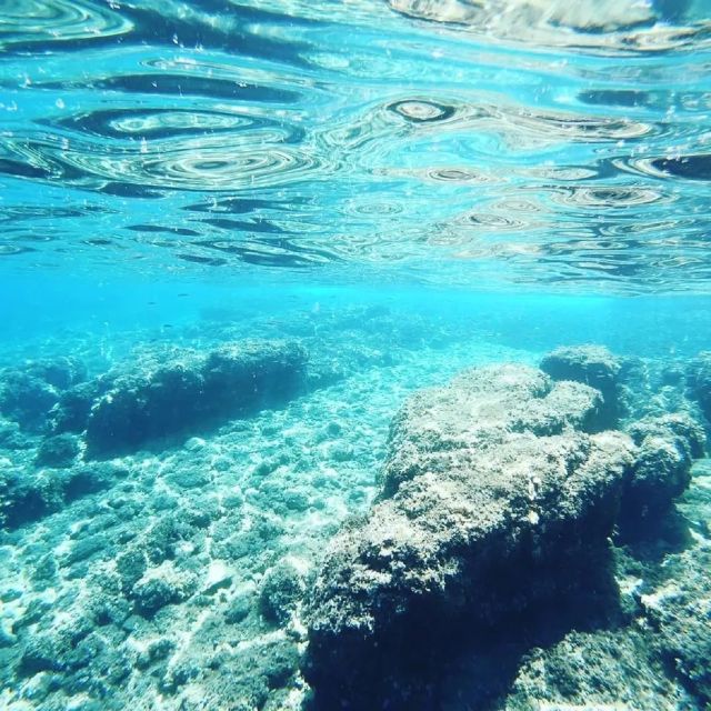 From Zadar: Private Half Day Sailing Tour - Swimming and Snorkeling From the Sailboat