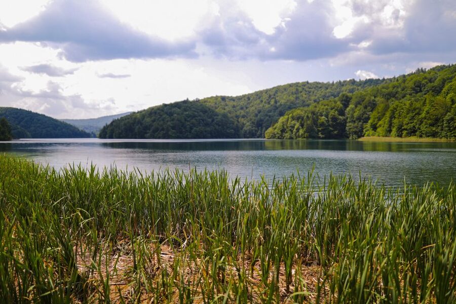 From Zadar: Round-Trip Transfer to Plitvice Lakes - How much value do you get for $47?