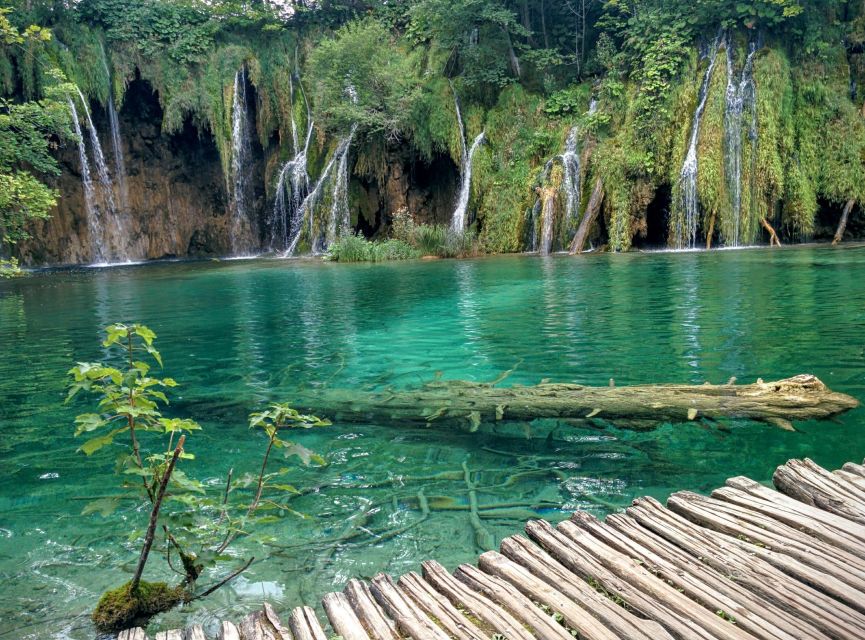 From Zadar: Round-Trip Transfer to Plitvice Lakes - The role of the driver and guide