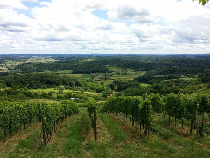 From Zagreb: Fairytale Castle & Wine Tasting & Lunch - Trakoscan Castle and its wooded setting