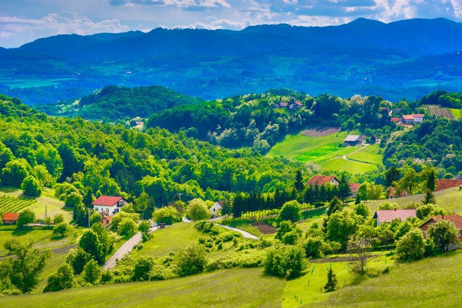 From Zagreb: Fairytale Castle & Wine Tasting & Lunch - A local lunch with room to linger