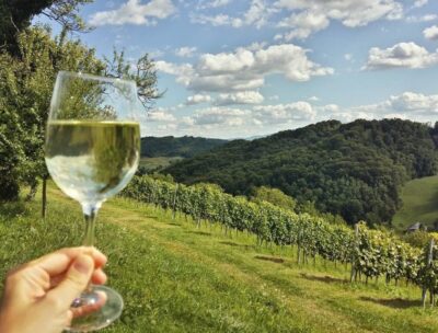Fairytale Castle & Wine Tasting & Lunch