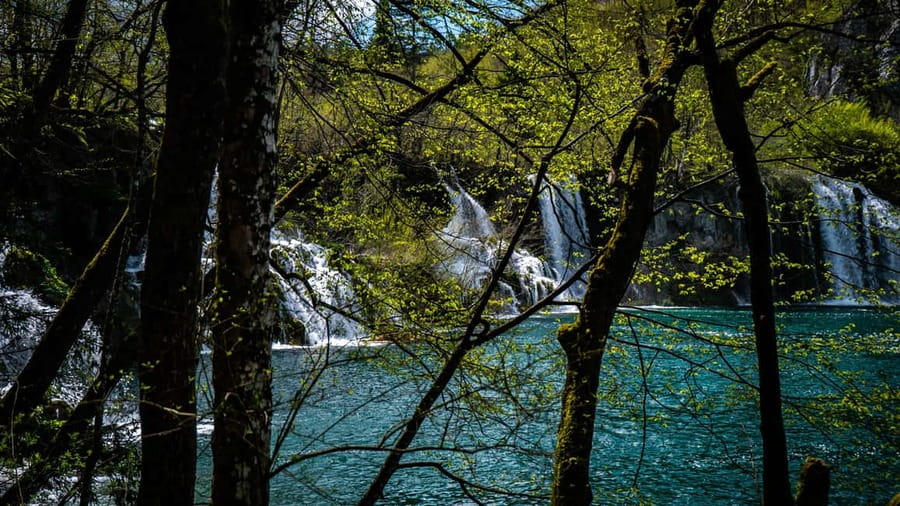 From Zagreb: Plitvice Lakes National Park Full-Day Tour - Lunch comes late and stays short