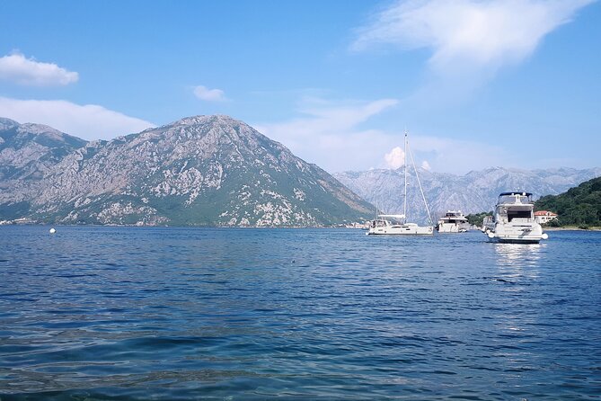 Full-Day Group Tour of Montenegro Coast from Dubrovnik - Pickup and drop-off problems you should plan for
