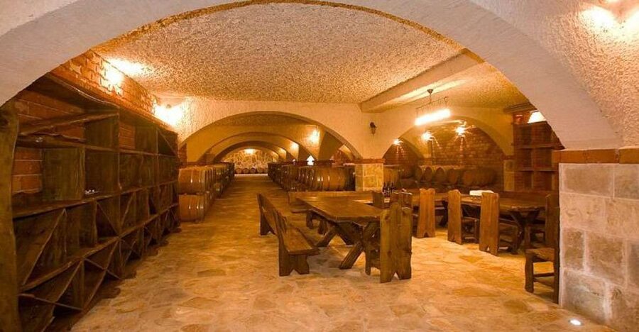 Full-Day Peljesac Wine Tour - Walking through the Dingač wine country