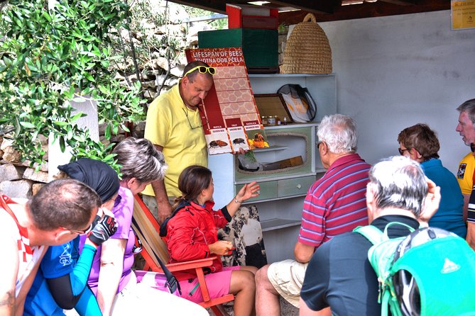 Give Bees a chance! - Key points about this Šolta honey experience